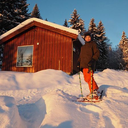 Cabin With Great View Close To Town And Ski Area Lillehammer Eksteriør billede